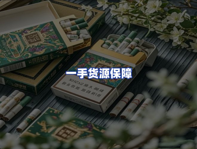 专业团队